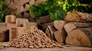 Unlocking the Hidden Potential of Sawdust: How Pellet Mills are Transforming Waste into Renewable Energy