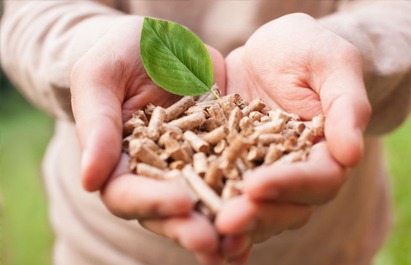 Biomass Pellet Machines Buyer's Guide 2026
