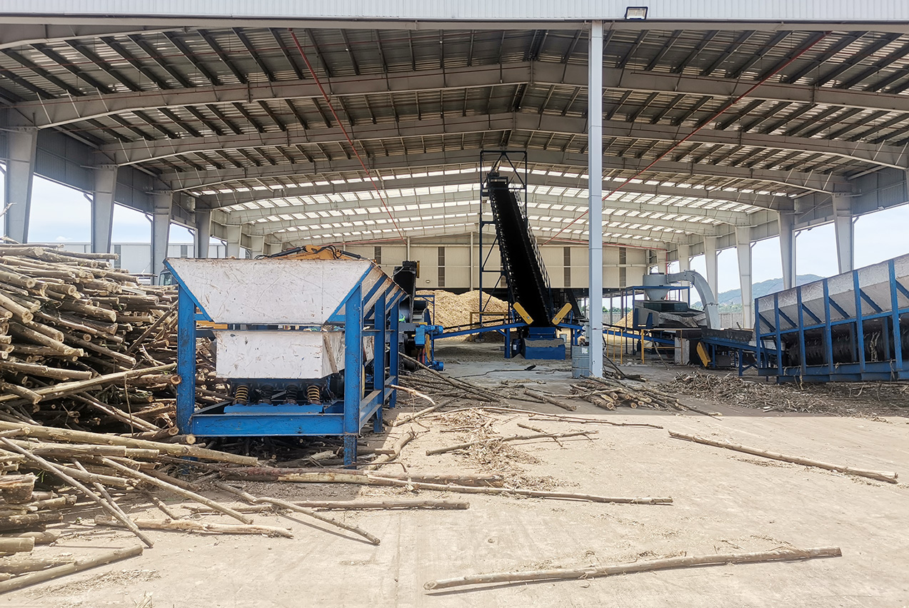Vietnam wood pellet production line at 12 t/h capacity showing acacia chip feeding and pelletizing stages