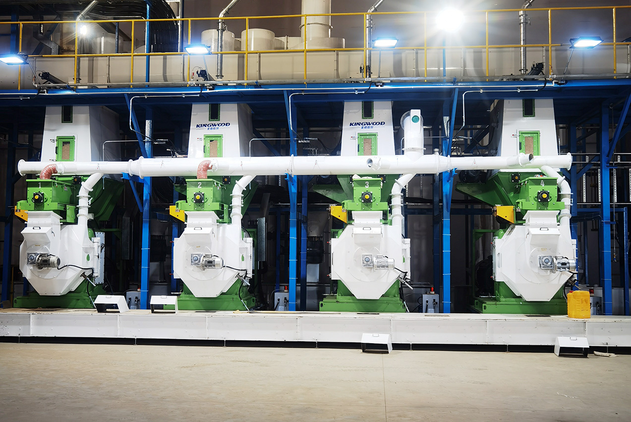 Ring-die pellet mill JWZL-688D showing servo motor and die assembly for Vietnam export line