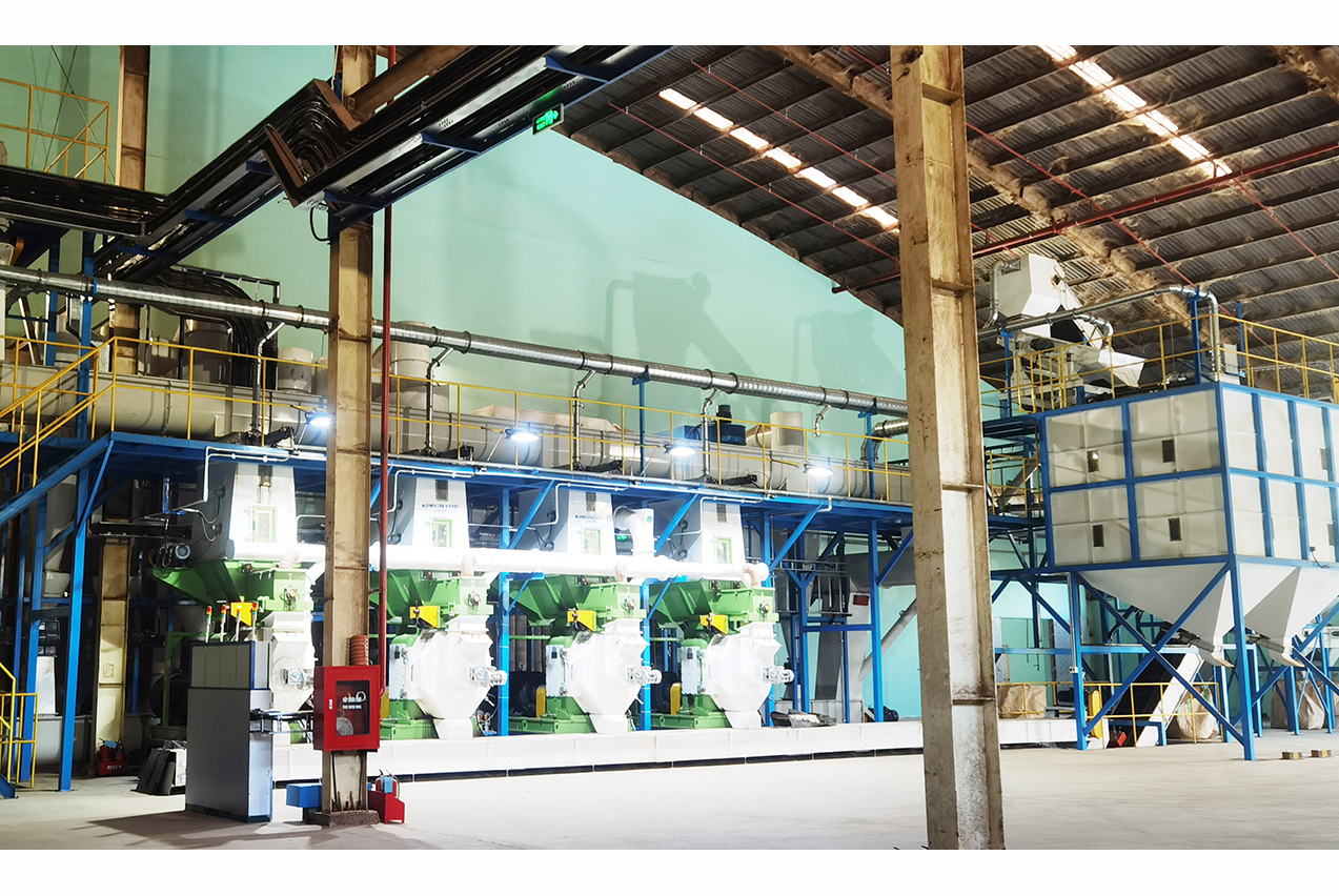 Kingwood engineering team completing installation and commissioning of a 12 t/h wood pellet production line in Vietnam