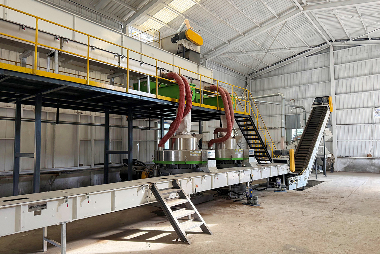 Cotton stalk biomass pellet production line running at 10 t/h in Xinjiang, China